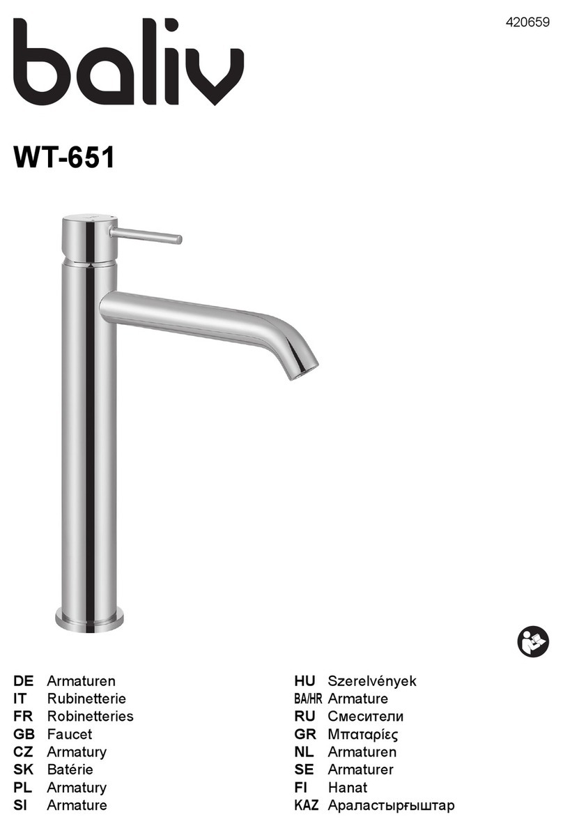 baliv WT-651 User manual