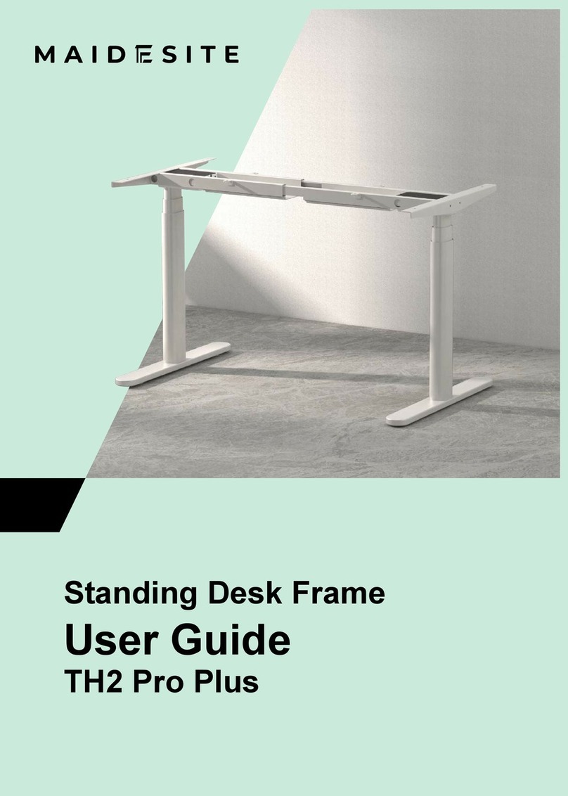 Maidesite TH2 Pro Plus User manual