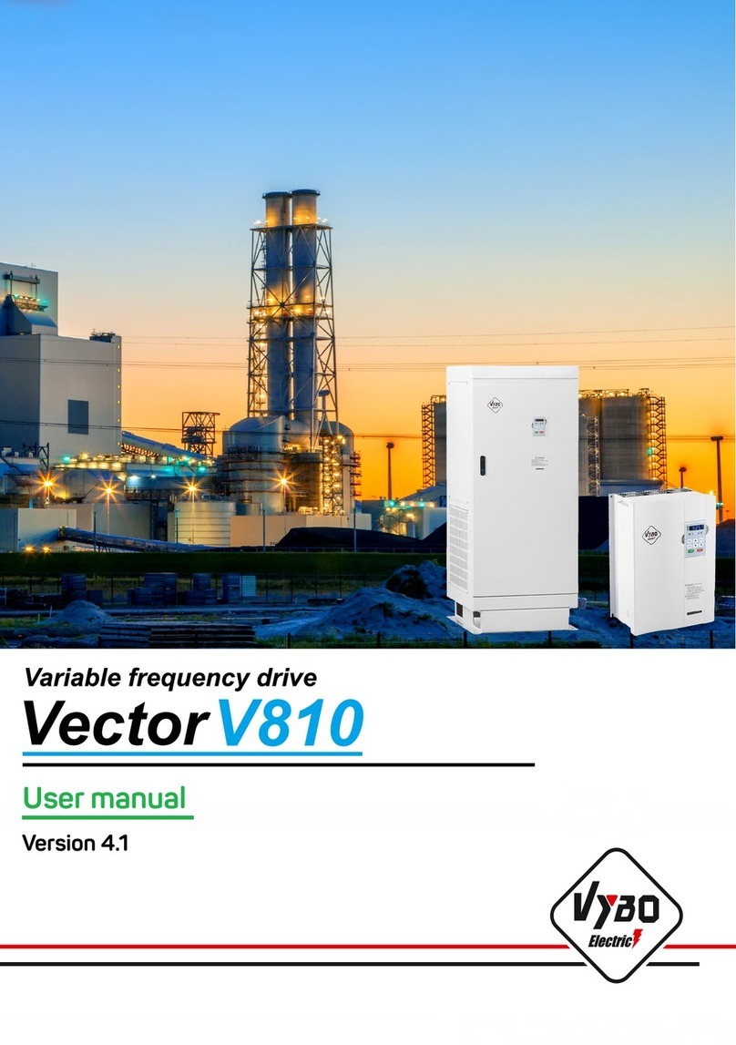 VYBO Electric Vector V810 user manual