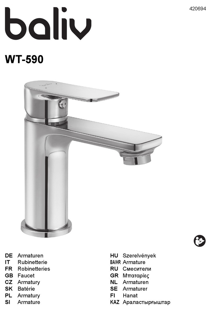 baliv WT-590 manual