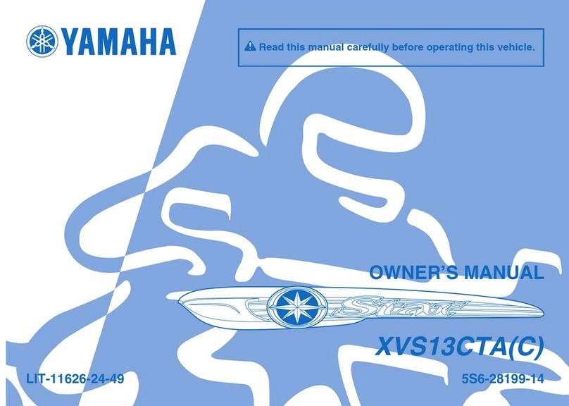 Yamaha Star 2010 owner's manual