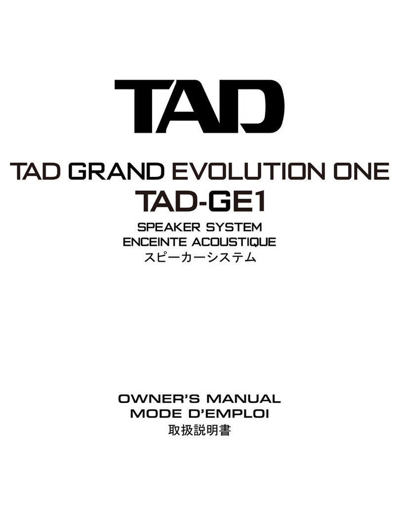 TAD GRAND EVOLUTION ONE User manual