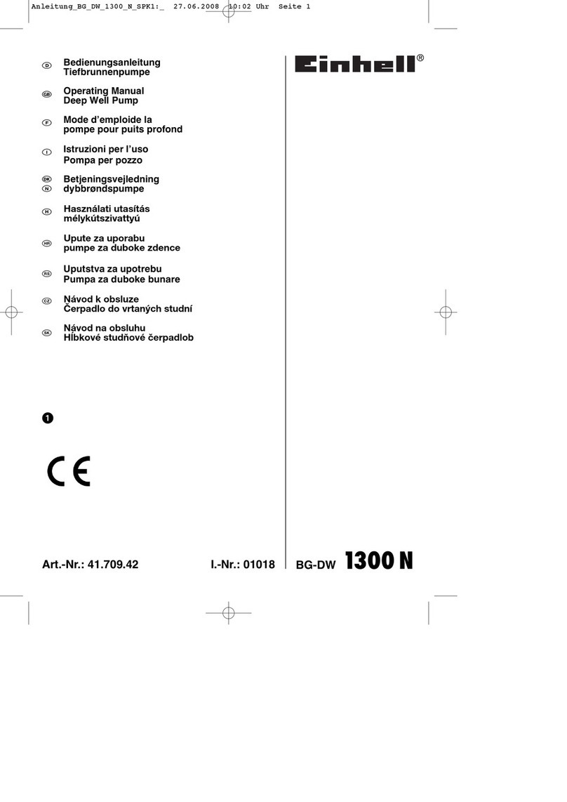 EINHELL BG-DW 1300 N operating manual