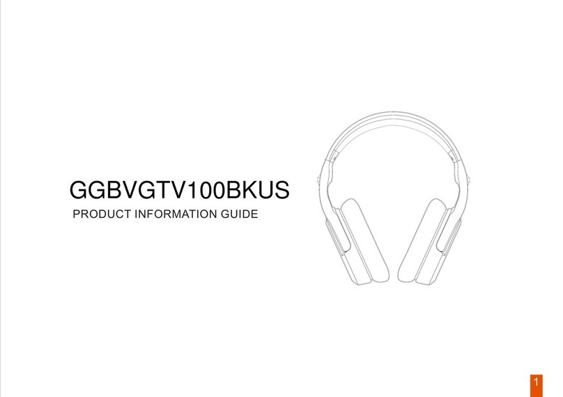 Zfx GGBVGTV100BKUS Product information guide