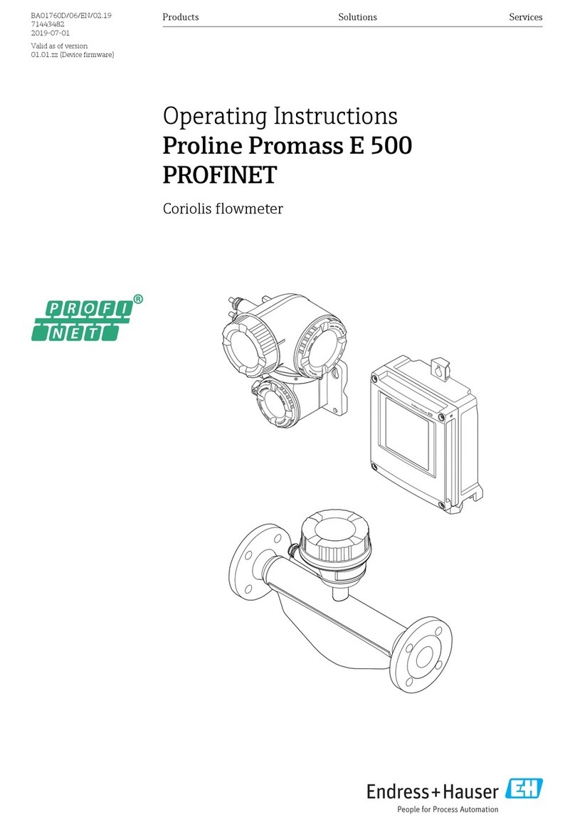 Endress+Hauser Proline Promass E 500 PROFINET User manual