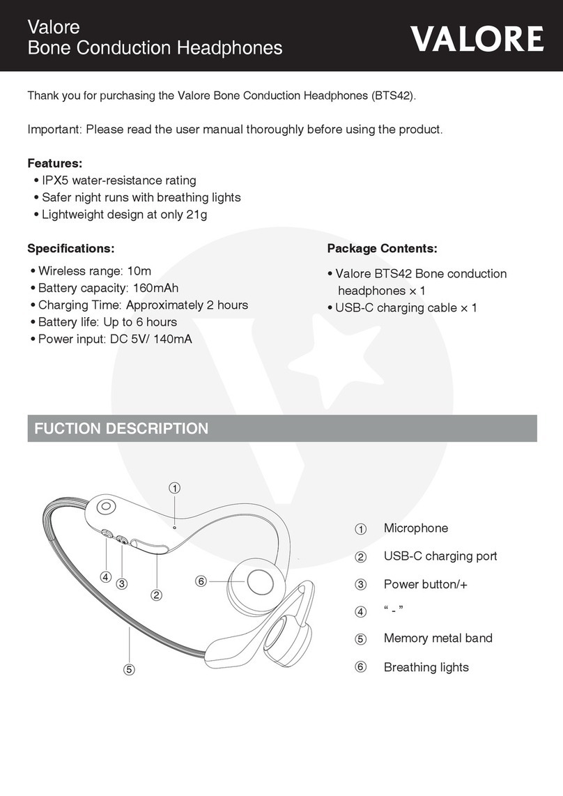 Valore BTS42 quick start guide