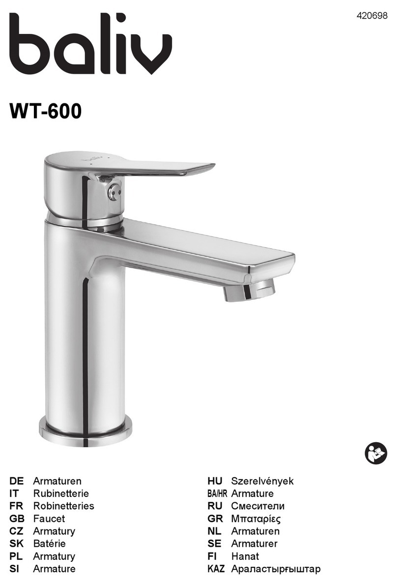 baliv WT-600 manual