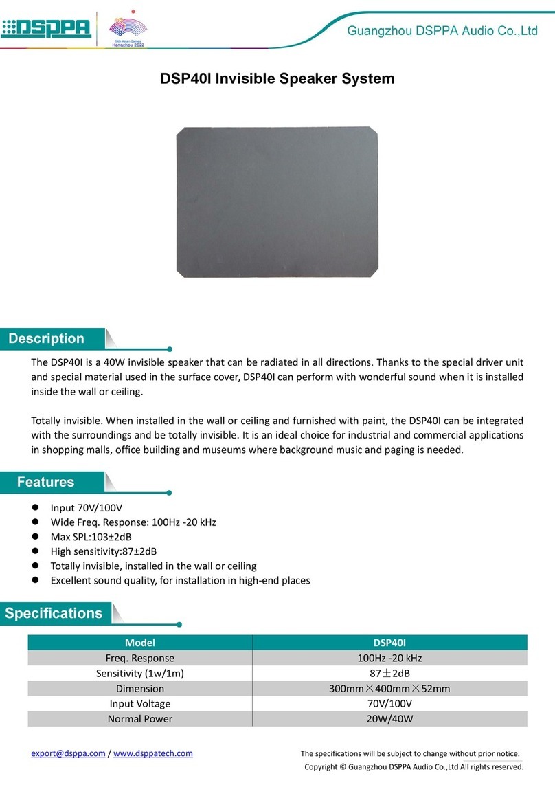 DSPPA DSP40I quick start guide