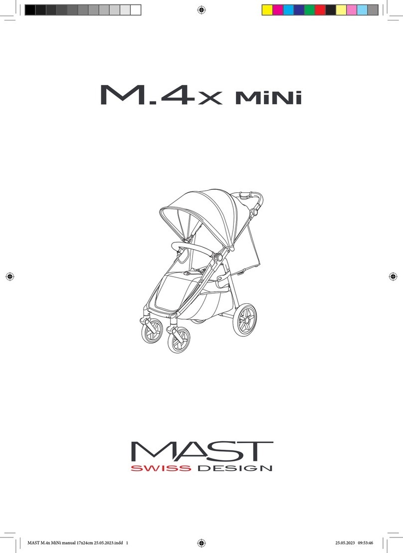 MAST M.4x MINI User manual