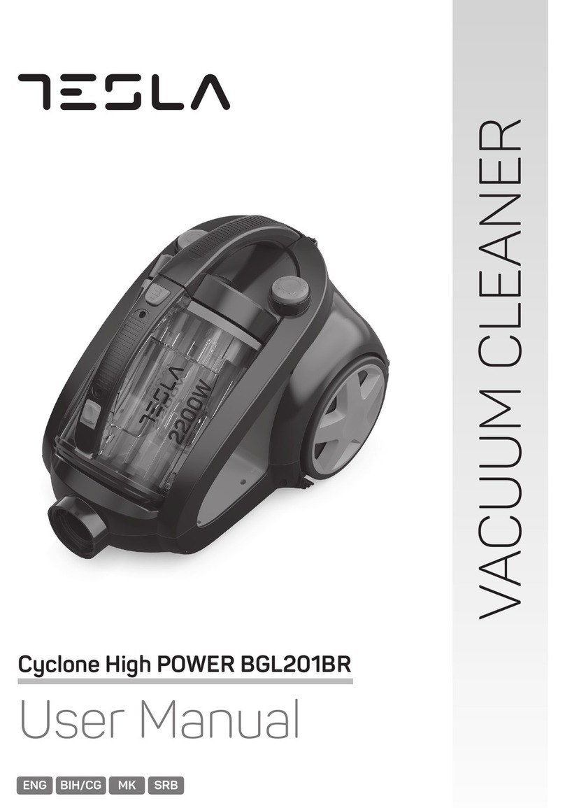 Tesla Cyclone High POWER BGL201BR User manual