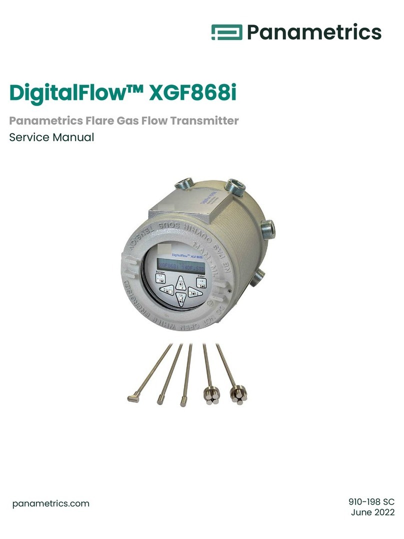 Panametrics DigitalFlow XGF868i Service manual