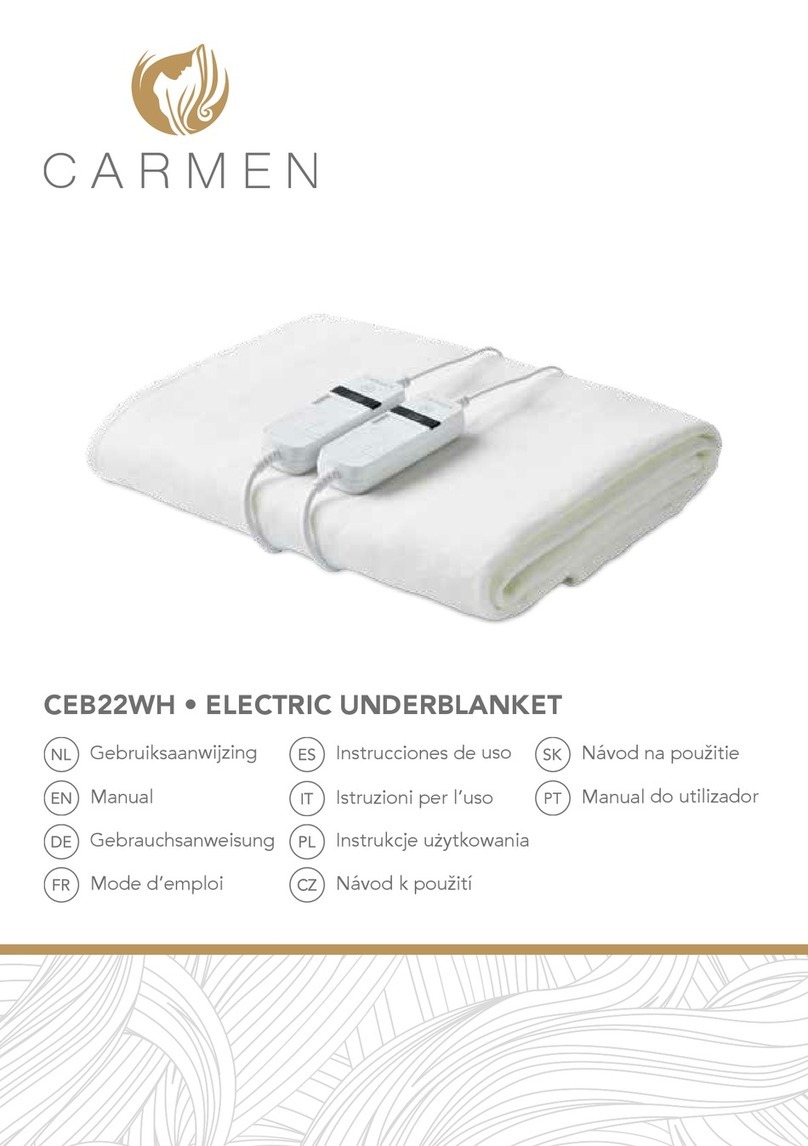 Carmen CEB22WH manual
