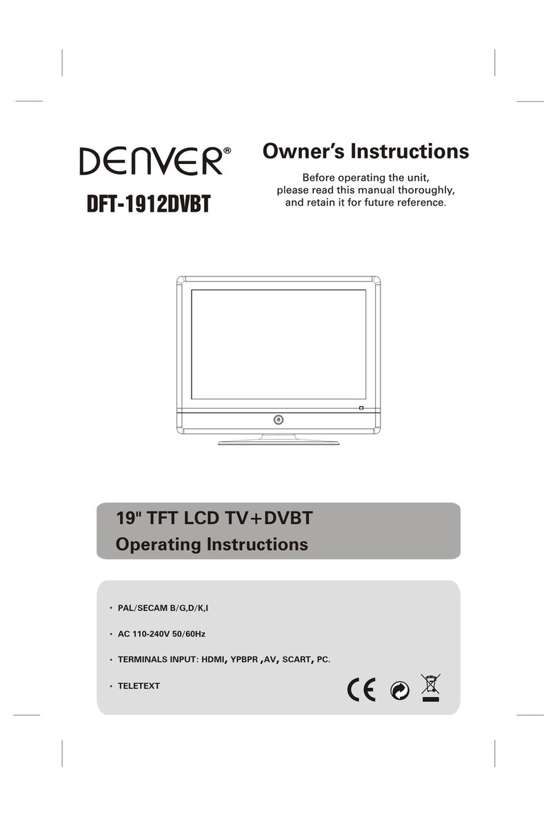 Denver DFT-1912DVBT User manual