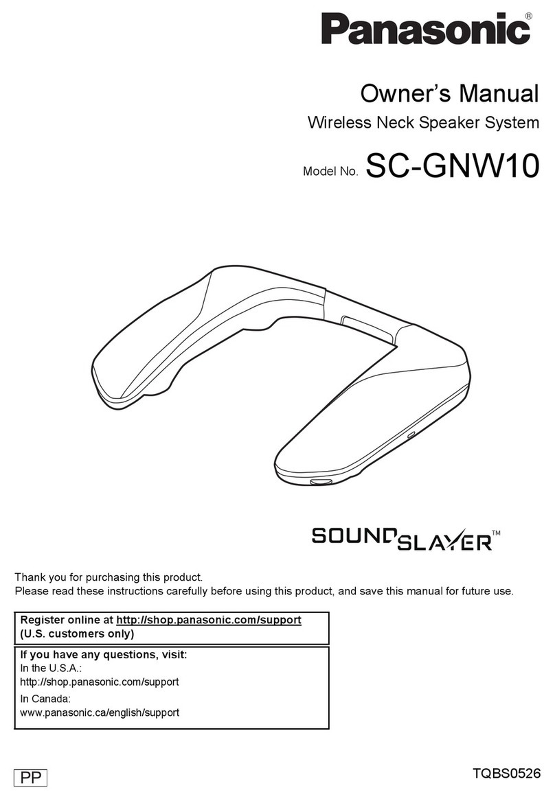 Panasonic SOUNDSLAYER SC-GNW10 owner's manual