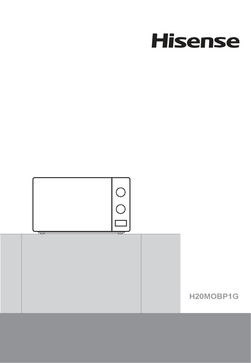 Hisense H20MOBP1G manual