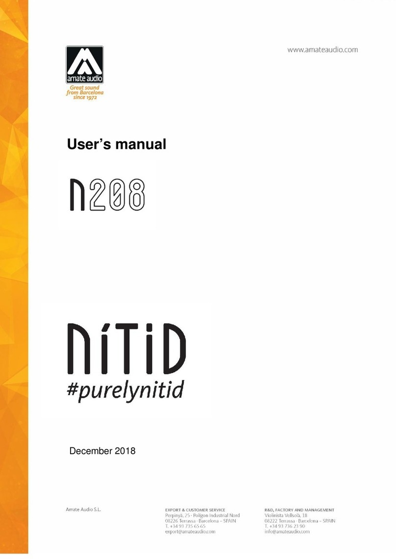 Amate Audio NITID N208P user manual