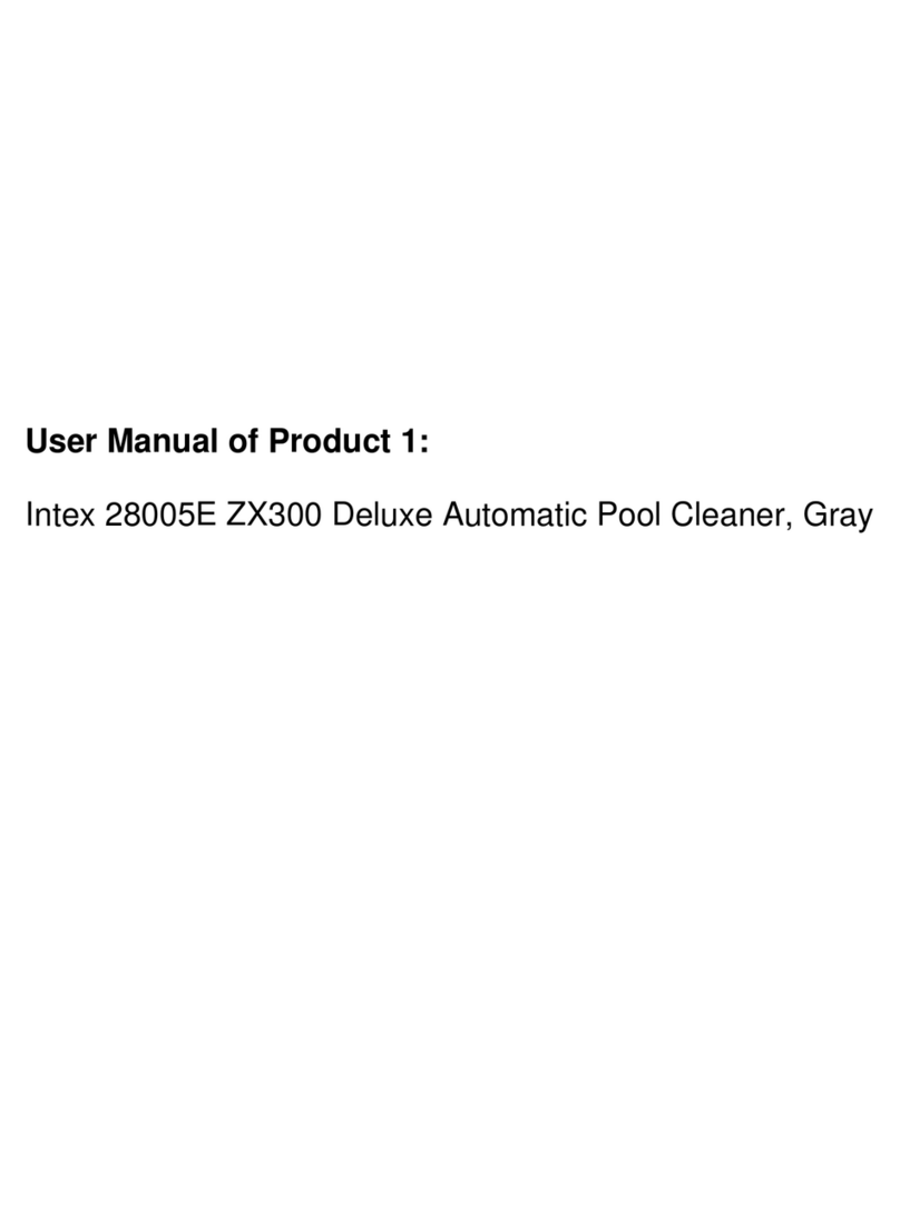 Intex 28005E ZX300 User manual