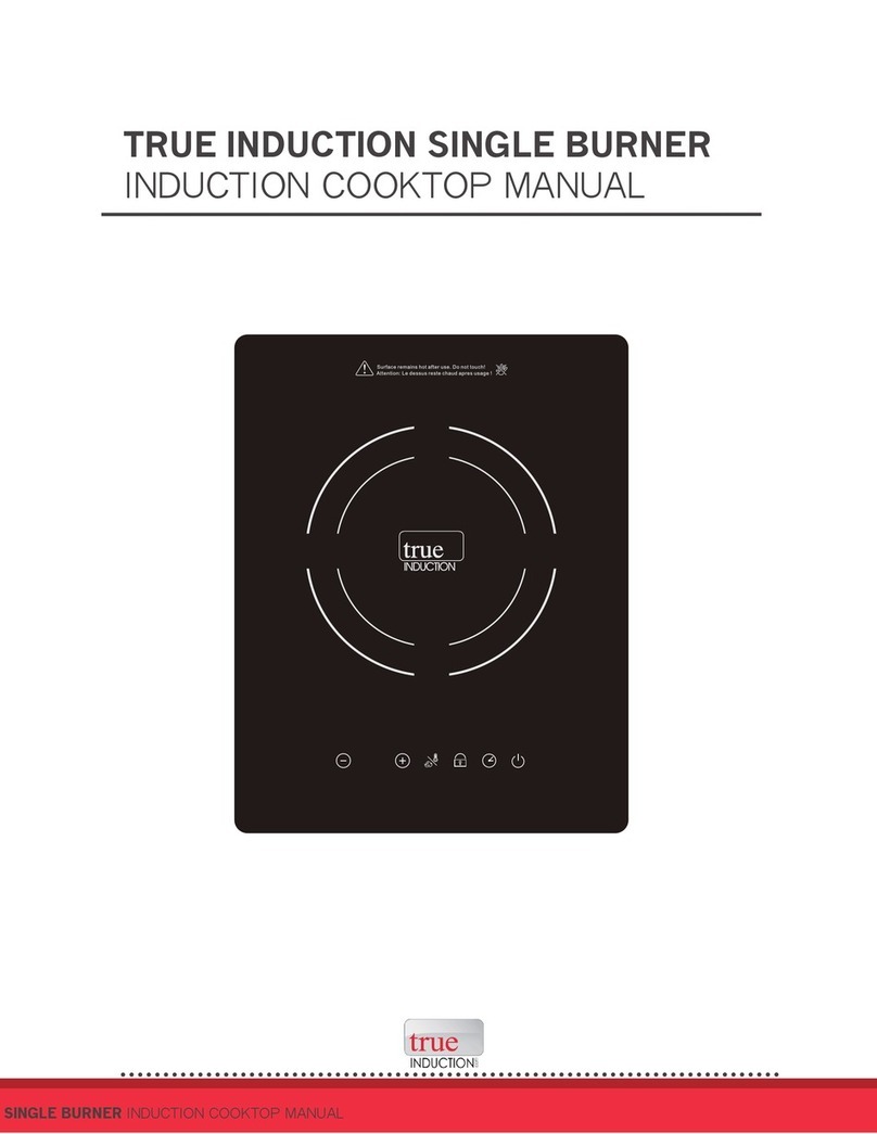 True Induction TI-1B manual