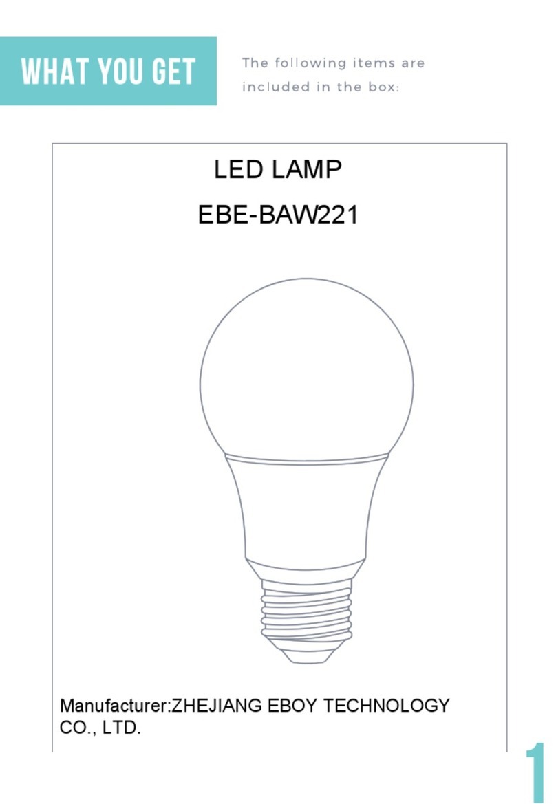 EBOY TECHNOLOGY EBE-BAW221 instructions