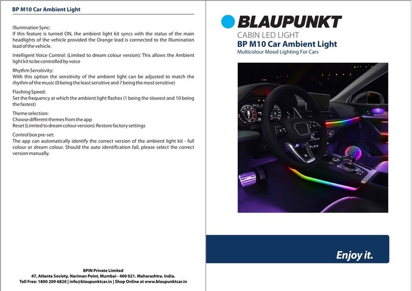 Blaupunkt BP M10 manual