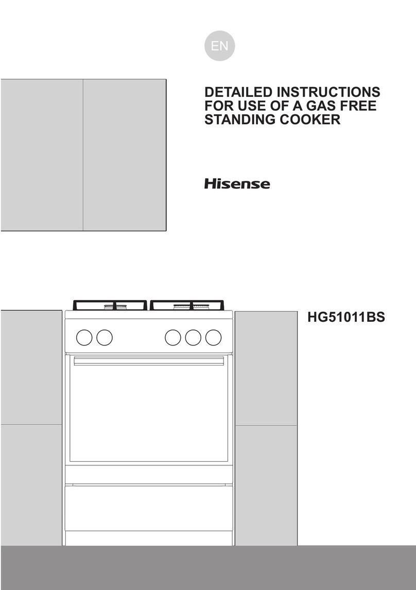 Hisense HG51011BS User manual