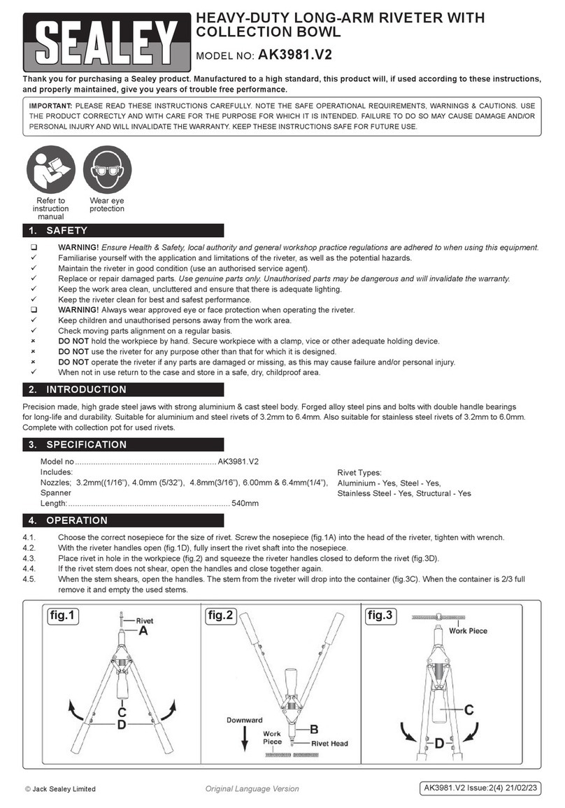 Sealey AK3981.V2 User manual