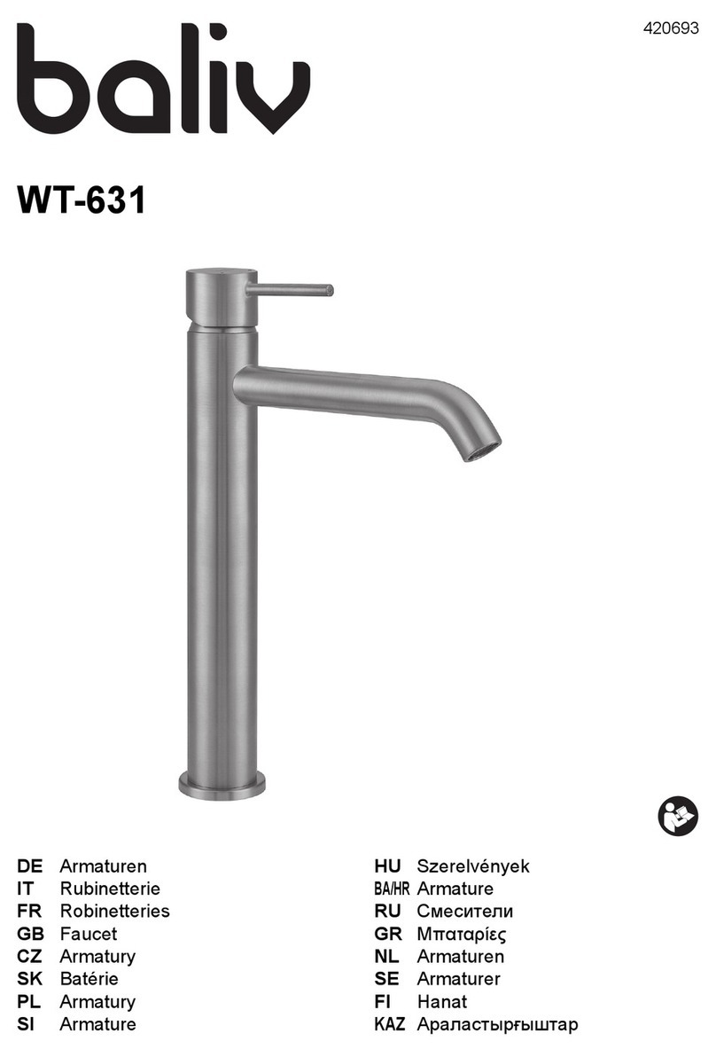 baliv WT-631 User manual