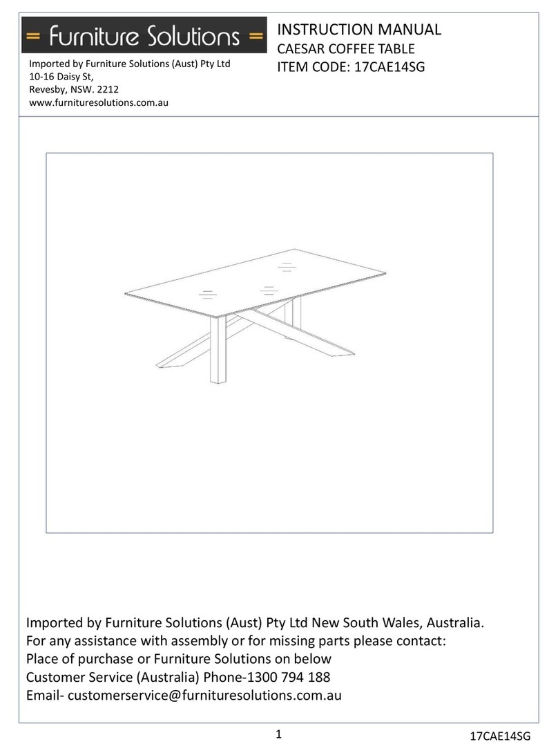 Furniture Solutions 17CAE14SG instruction manual