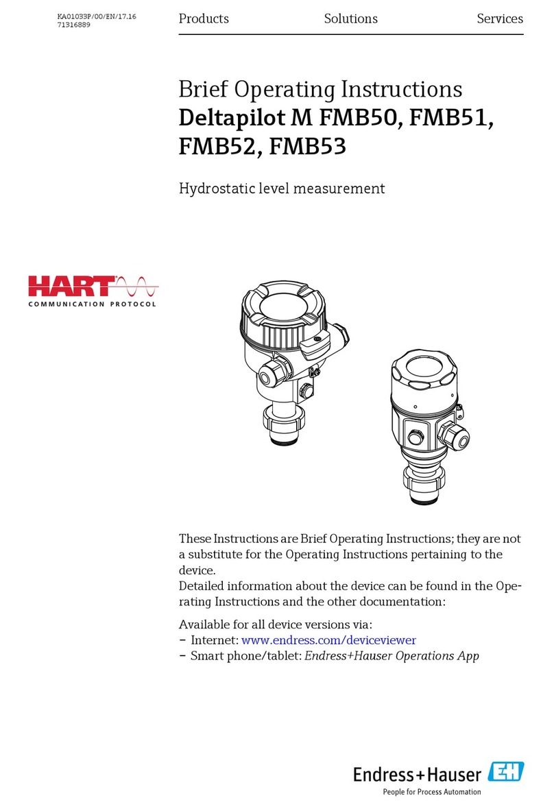 Endress+Hauser Deltapilot M FMB51 Brief operating instructions