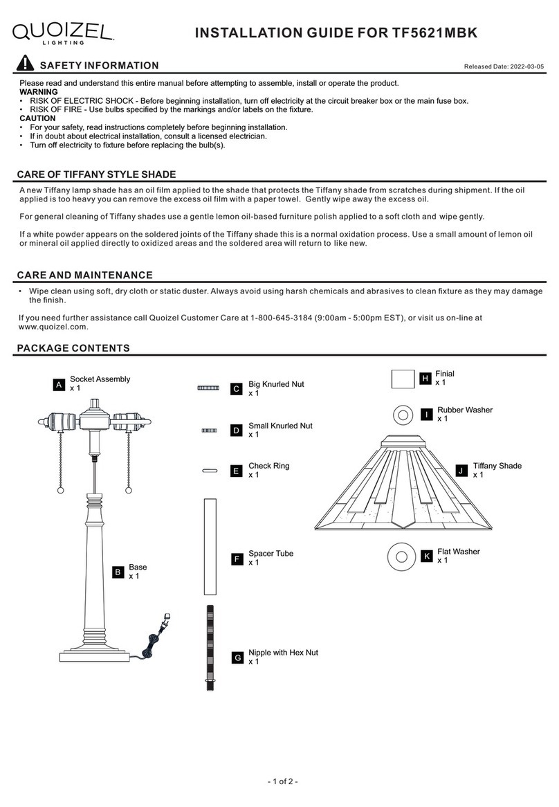 Quoizel Hathaway TF5621MBK User manual