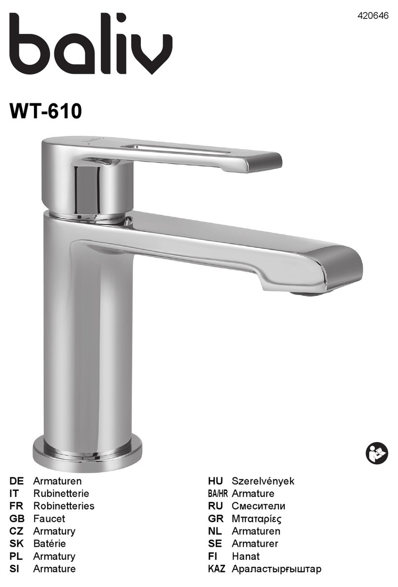 baliv WT-610 manual