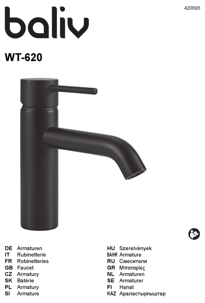 baliv WT-620 manual