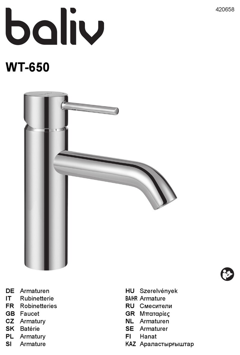 baliv WT-650 User manual