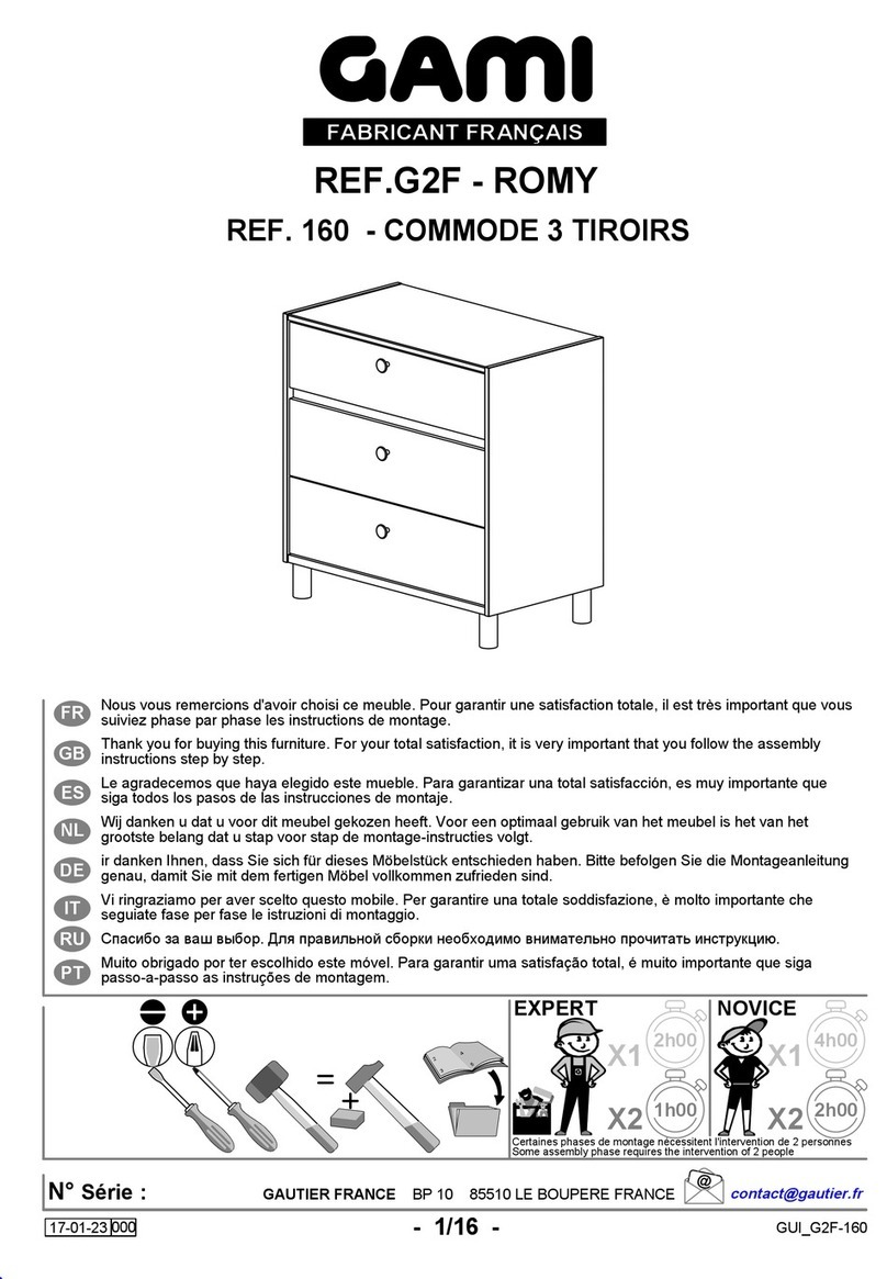 Gami ROMY G2F User manual