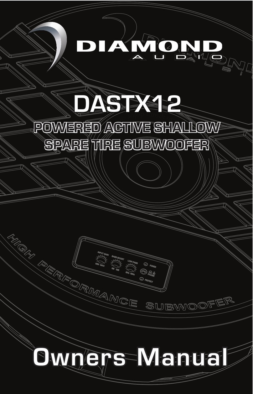 Diamond Audio DASTX12 owner's manual