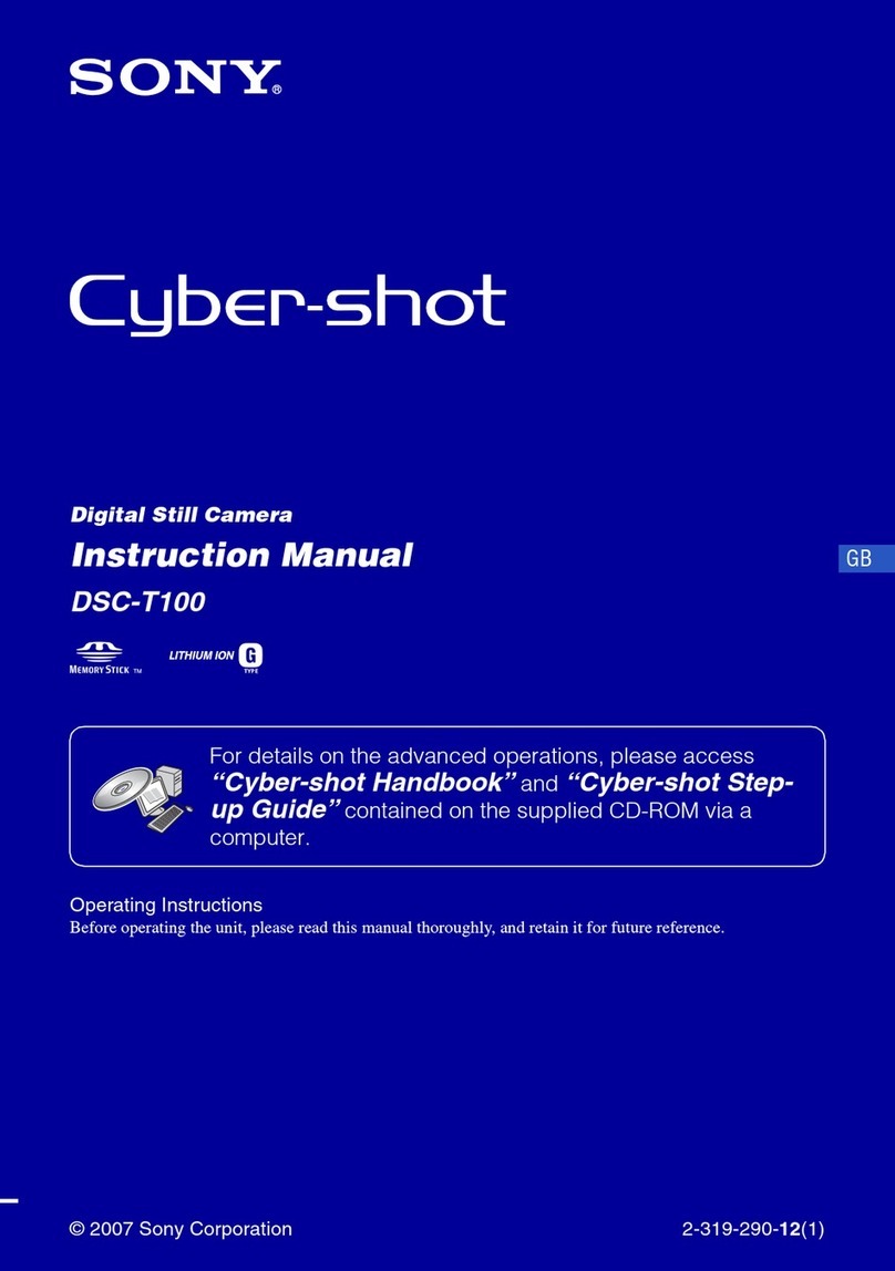 Sony Cyber-shot DSC-T100 User manual