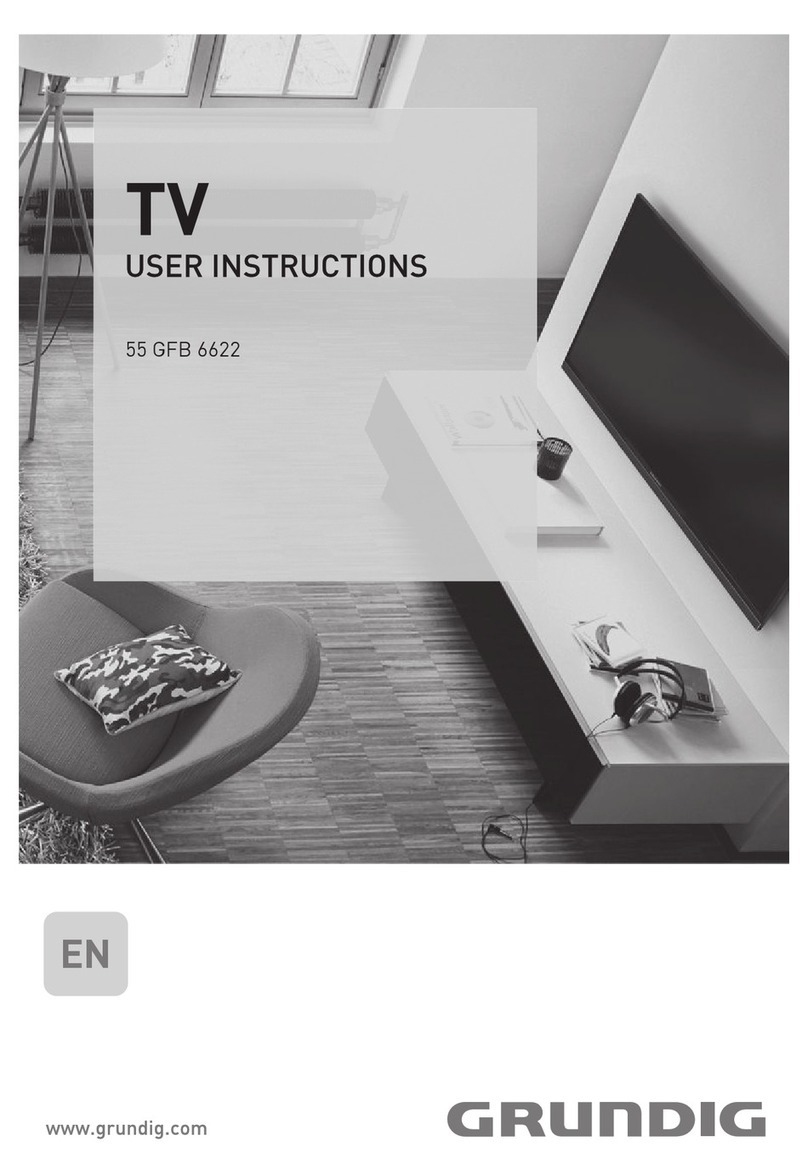 Grundig 55 GFB 6622 User manual