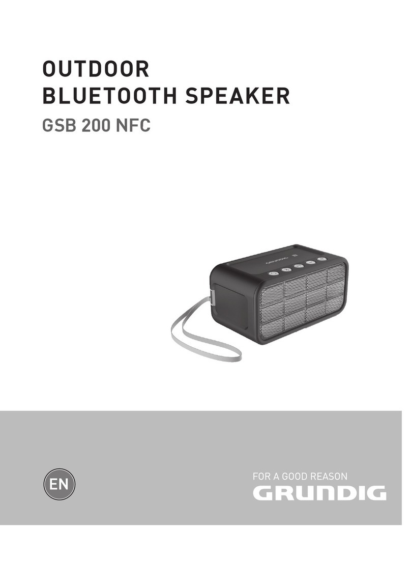 Grundig GSB 200 NFC User manual