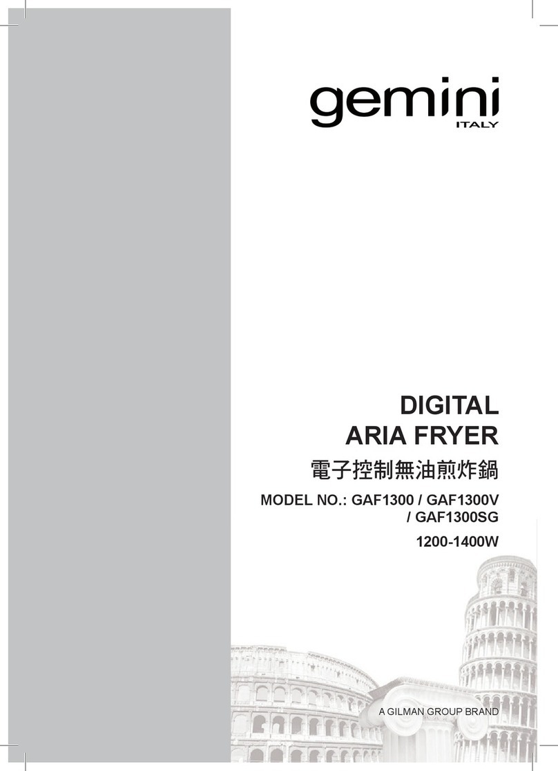 Gemini GAF1300SG User manual