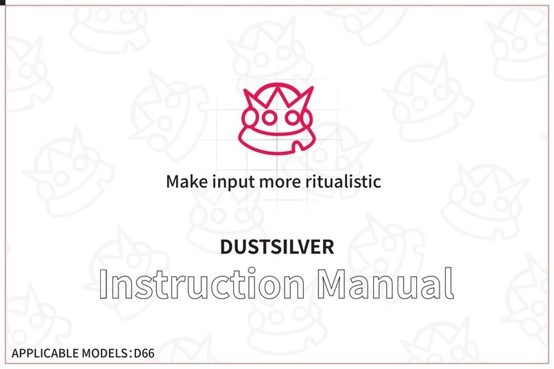 DUSTSILVER D66 instruction manual