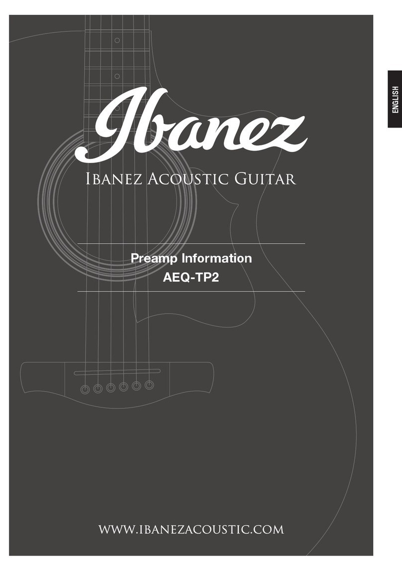 Ibanez AEQ-TP2 Owner's manual