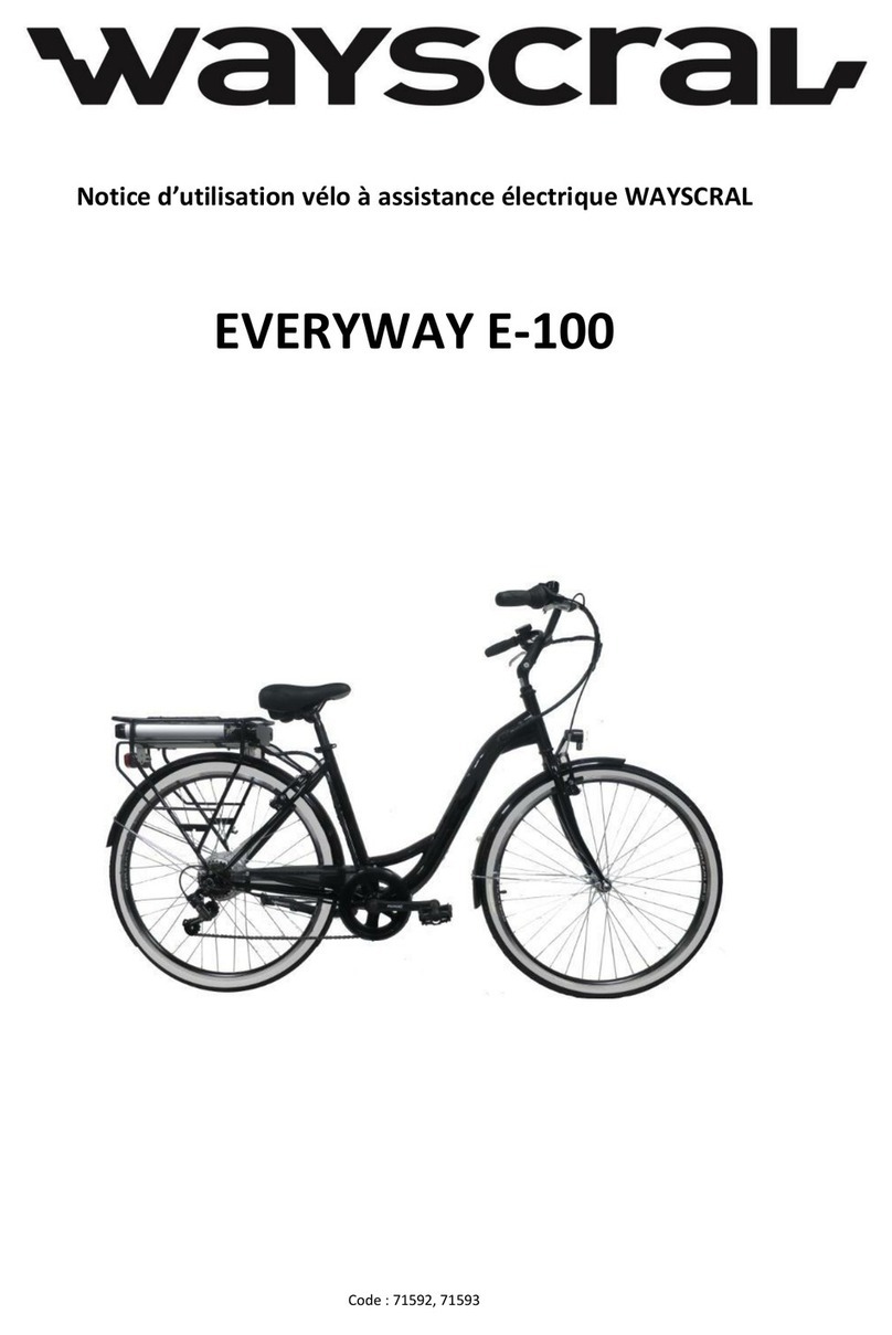 wayscral EVERYWAY E-100 User manual