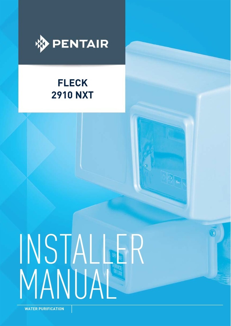 Pentair FLECK 2910 NXT User guide