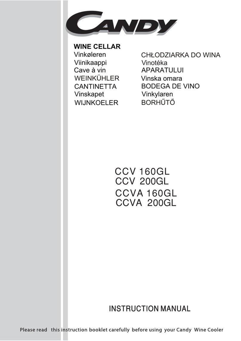 Candy CCV 200GL User manual