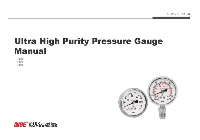 Wise P810 manual