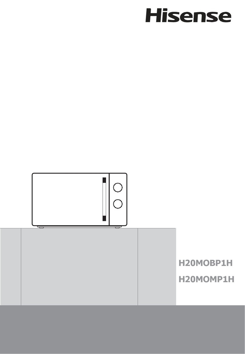 Hisense H20MOBP1H User manual