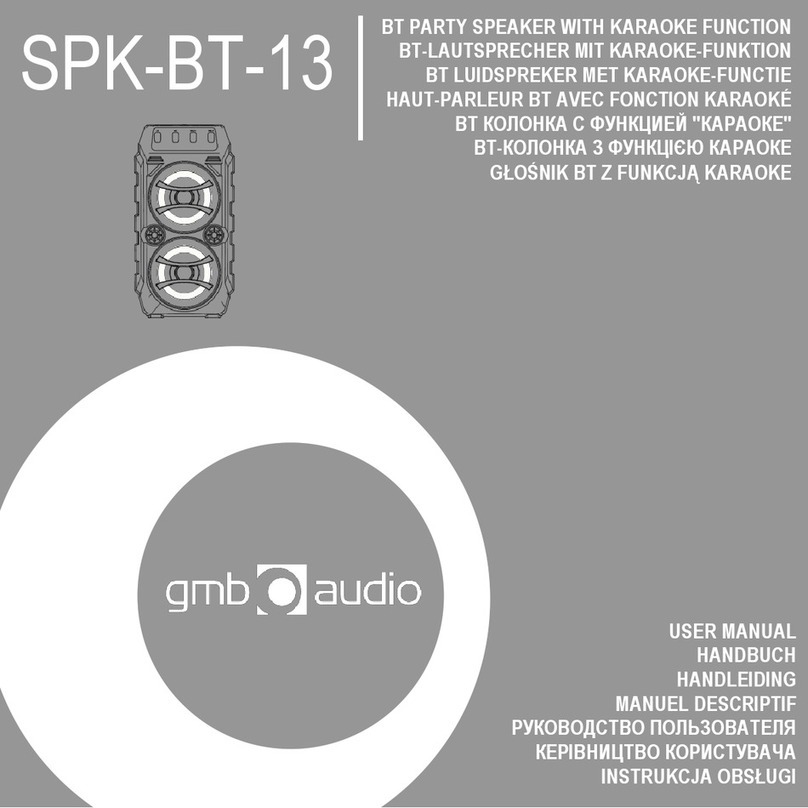 GMB Audio SPK-BT-13 User manual