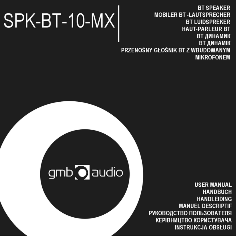 GMB Audio SPK-BT-10-MX User manual