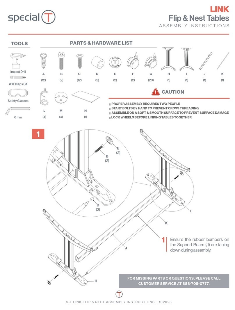 SPECIAL T LINK User manual