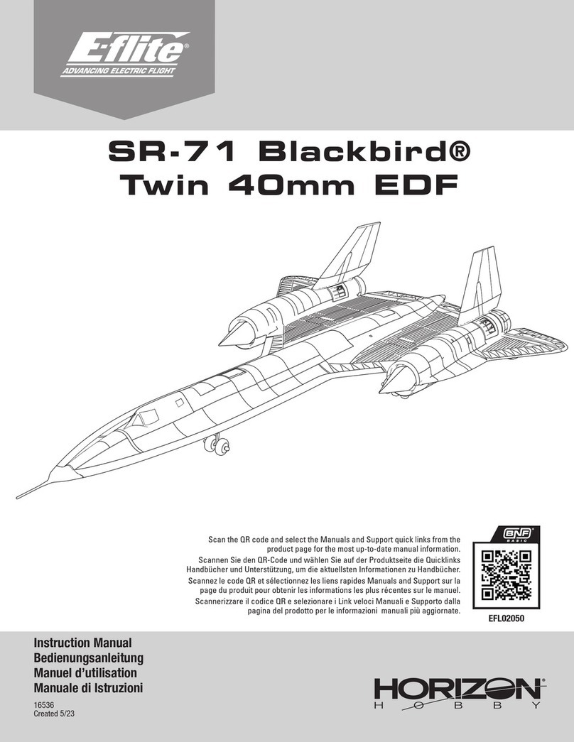 Horizon Hobby SR-71 Blackbird Twin instruction manual